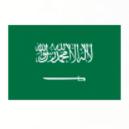沙特阿拉伯U17
