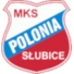 斯路普隆尼亚